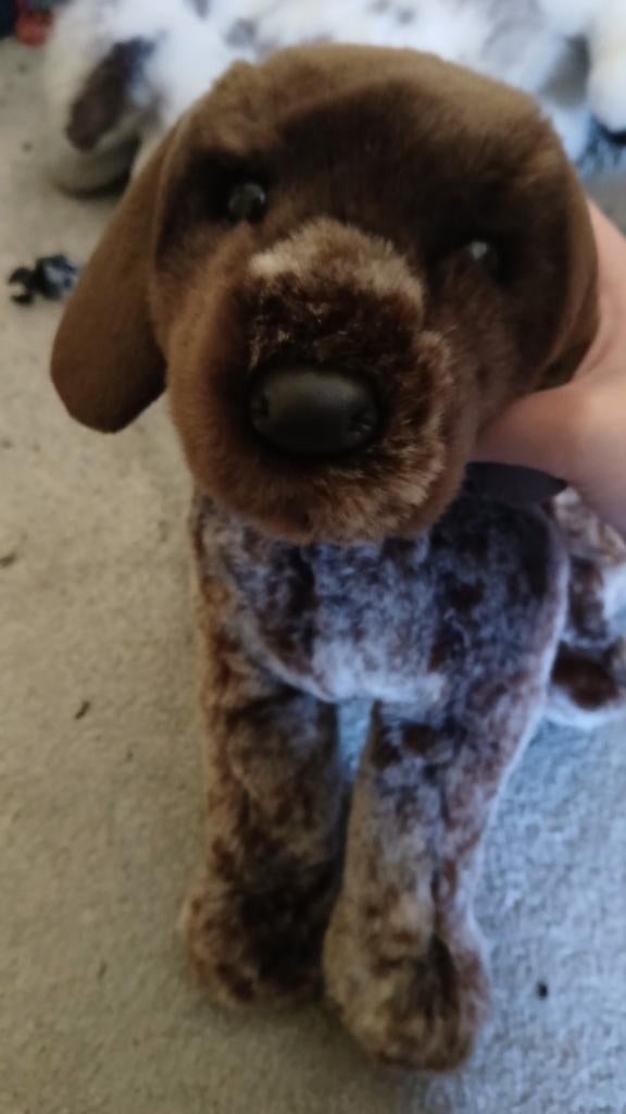 Douglas cuddle toys rare german pointer (check description), Overige merken, Overige karakters, Zo goed als nieuw, Middelgroot (20 tot 80 cm)
