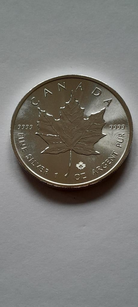 5 stuks 1 OZ Zilver Maple Leaf, Postzegels en Munten, Edelmetalen en Baren, Ophalen of Verzenden, Zilver