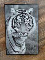 Schilderij tijger, Ophalen of Verzenden