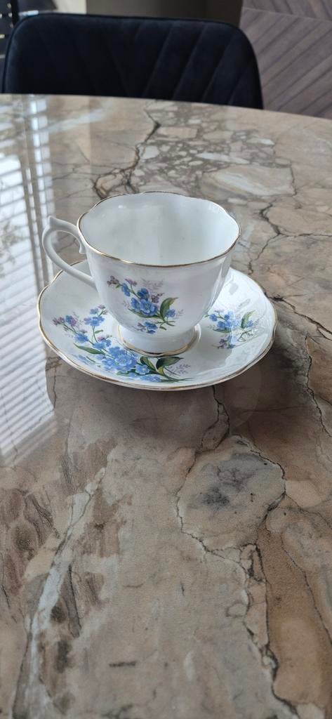 Royal Albert Forget Me Not Theekopje met Schotel, Ophalen of Verzenden