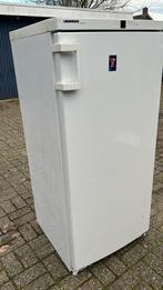 Liebherr Vrieskast met 6 lades - Ruim en Betrouwbaar, Gebruikt, 160 cm of meer, Ophalen, Vrieskast