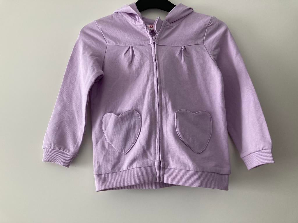 Nieuw meisje vest maat 92, Kinderen en Baby's, Kinderkleding | Maat 92, Ophalen of Verzenden, Nieuw, Meisje, Trui of Vest