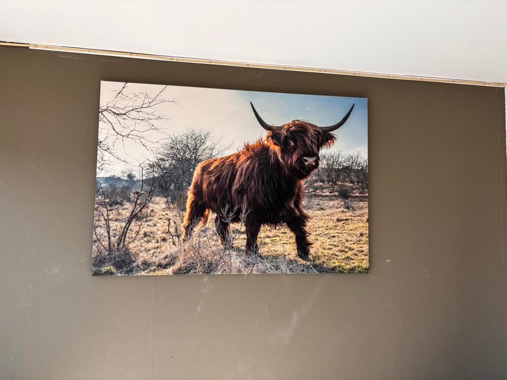 Schilderij, Ophalen