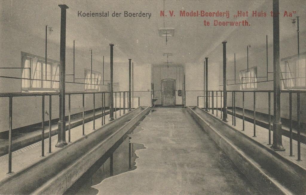 Doorwerth model-boerderij koeienstal, Ophalen of Verzenden, Voor 1920, Ongelopen, Gelderland