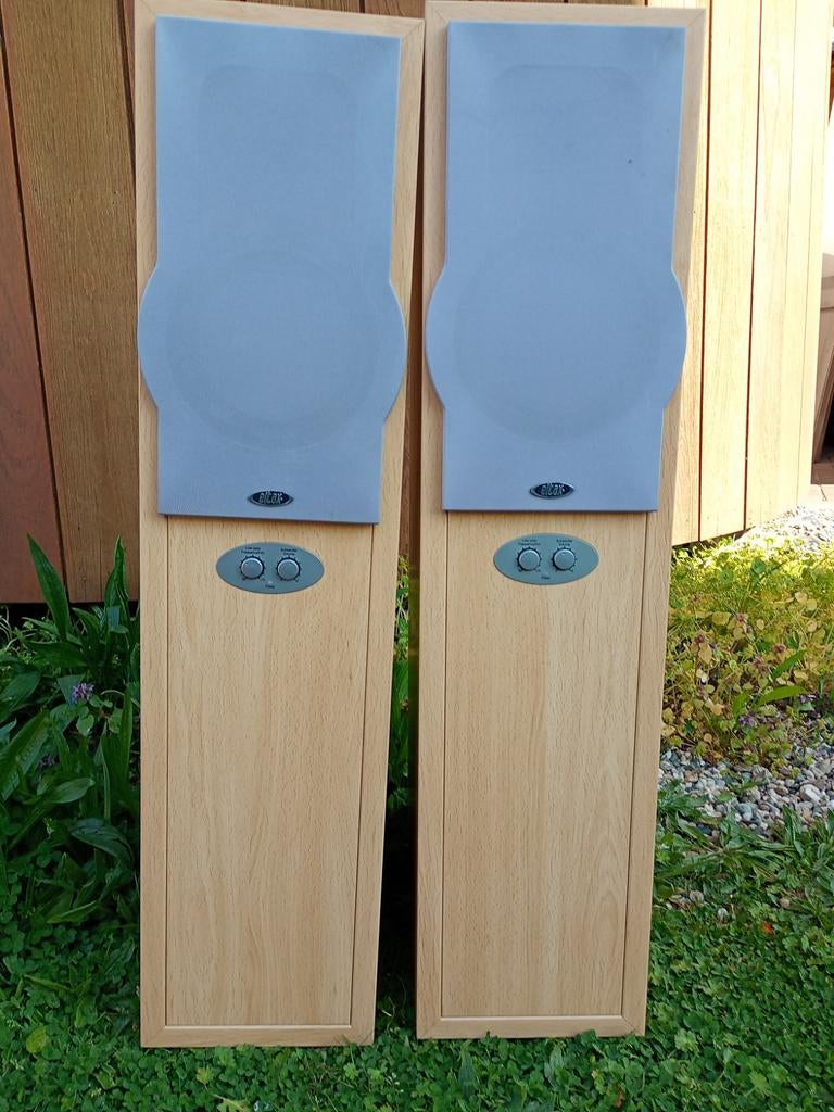 Eltax Liberty Power Tower Vloerstaande Speakers, Overige merken, Ophalen of Verzenden, Zo goed als nieuw, 60 tot 120 watt