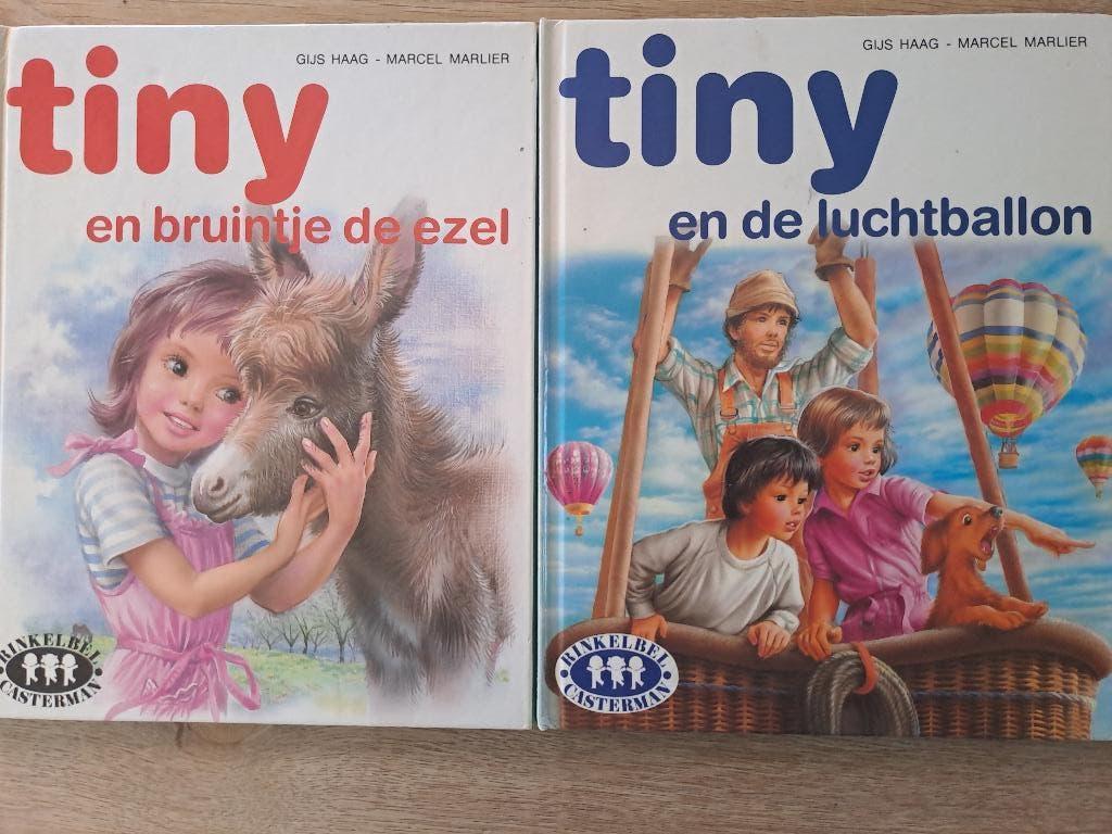 TINY. 2 BOEKJES. GIJS HAAG., Ophalen of Verzenden, Gelezen, Gijs Haag, Fictie algemeen