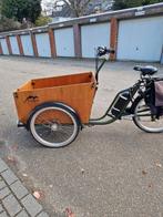 Cangoo electrische bakfiets voor  kind en/of hond, met deur., Fietsen en Brommers, Gebruikt, Huif, 2 kinderen, Ophalen