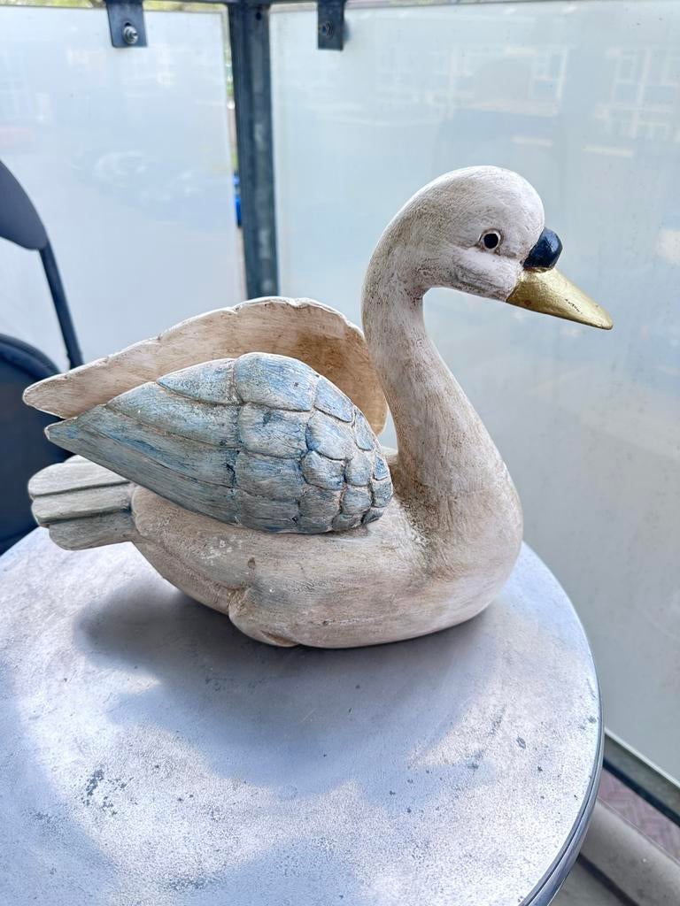 Mooie Zwaan, Meerdere dieren, Kip