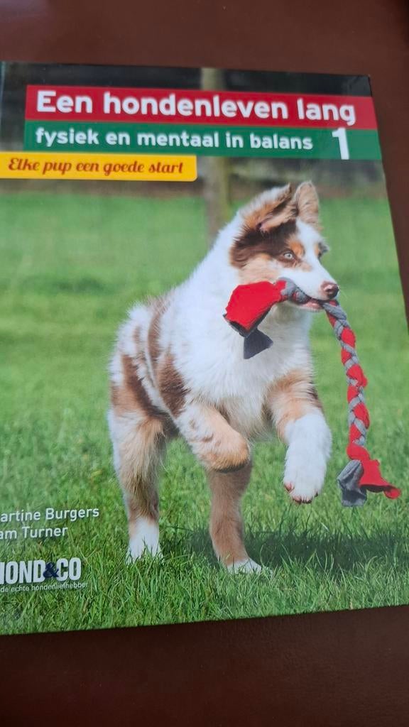 Een hondenleven lang: fysiek en mentaal in balans, Boeken, Dieren en Huisdieren, Ophalen of Verzenden, Zo goed als nieuw, Honden