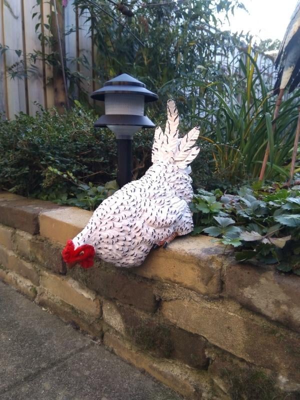 Beeld nieuwsgierige kip, Dierenbeeld, Kunststof, Kwastje-over-Kastje, Nieuw