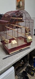 vogelkooi met goed fluitende kanarie man, Dieren en Toebehoren, Vogels | Hokken en Kooien, Ophalen, Gebruikt, Metaal, Vogelkooi