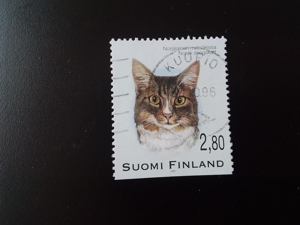 Finland gestempeld Mi 1313 poes, Ophalen of Verzenden, Finland, Gestempeld