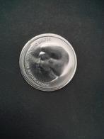 Zilveren 10 euro 2002, Postzegels en Munten, Munten | Nederland, Ophalen of Verzenden, Koningin Beatrix, Euro's, Zilver
