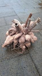 Dahlia knollen. Fuchsia paars van kleur, Tuin en Terras, Bloembollen en Zaden, Ophalen of Verzenden