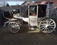 Rijtuigen en koetsen, Dieren en Toebehoren, Ophalen, Gebruikt