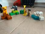 Duplo 4962 baby dierentuin, Ophalen, Inclusief minifiguren, Gebruikt, Overige thema's