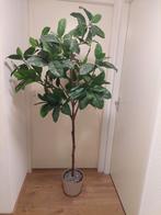 Groene kunstplant ca 150cm, Groene kamerplant, Ophalen, Overige soorten, 150 tot 200 cm