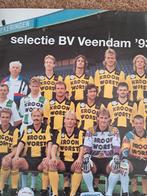 Poster Sportclub VEENDAM 1993/1994, Seizoenskaart, Eén persoon