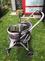 Buggy hondje, Dieren en Toebehoren, Ophalen, Gebruikt