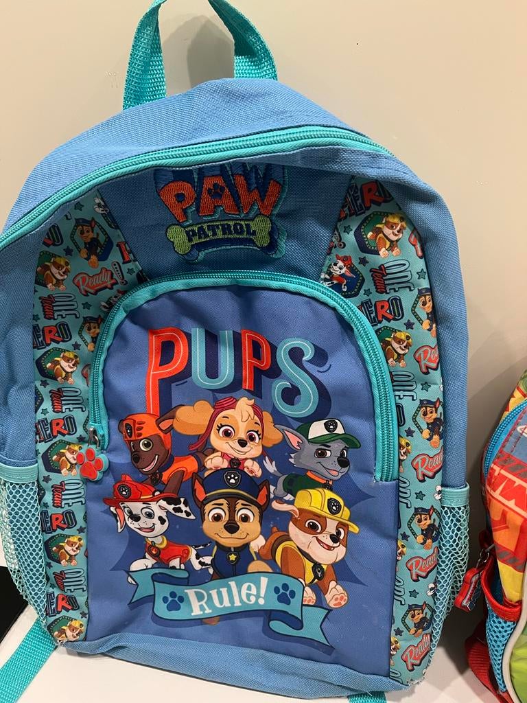 Paw Patrol Rugzak - Blauw, Ophalen, Gebruikt, Minder dan 30 cm, Disney of Dora