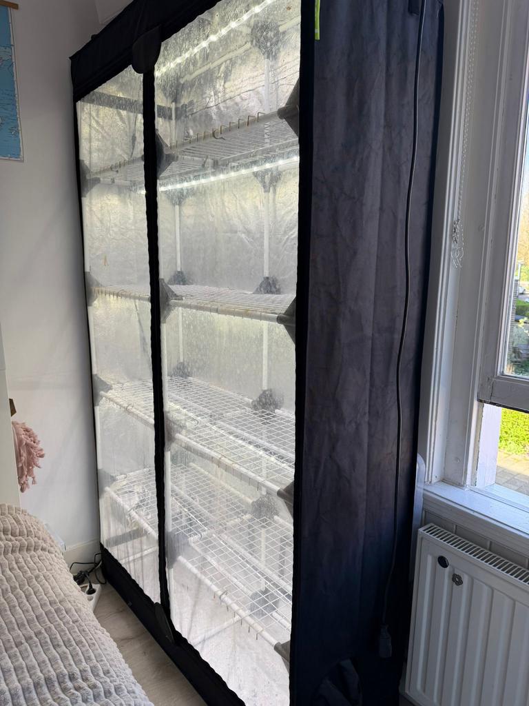 Kweektent met verlichting - Ideaal voor binnenkweek, Ophalen, Gebruikt, Kweekkast