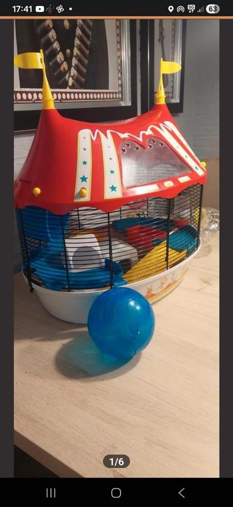 als nieuw. Grote circus kooi. Vele extra's, Dieren en Toebehoren, Knaagdieren, Geslacht onbekend, Hamster, Juli
