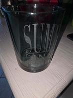 Windlicht Riviera maison 13 cm, Ophalen of Verzenden, Zo goed als nieuw, Groen, Overige materialen