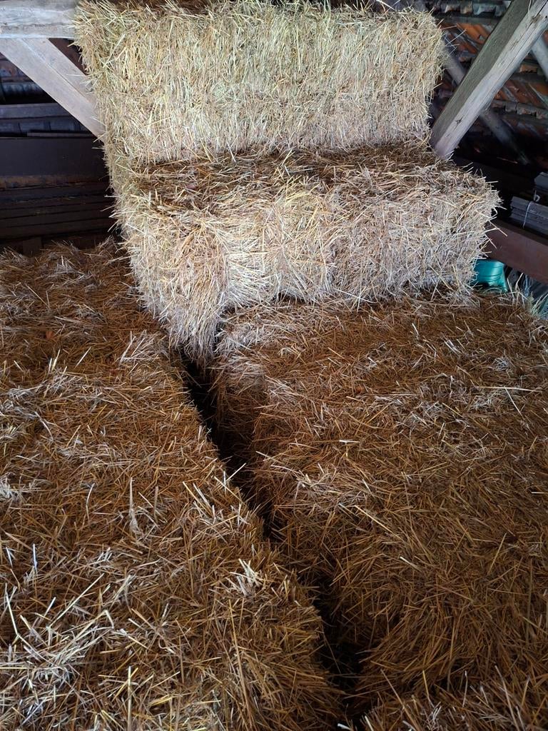 Kleine pakjes weide hooi, Ophalen of Verzenden, Vee