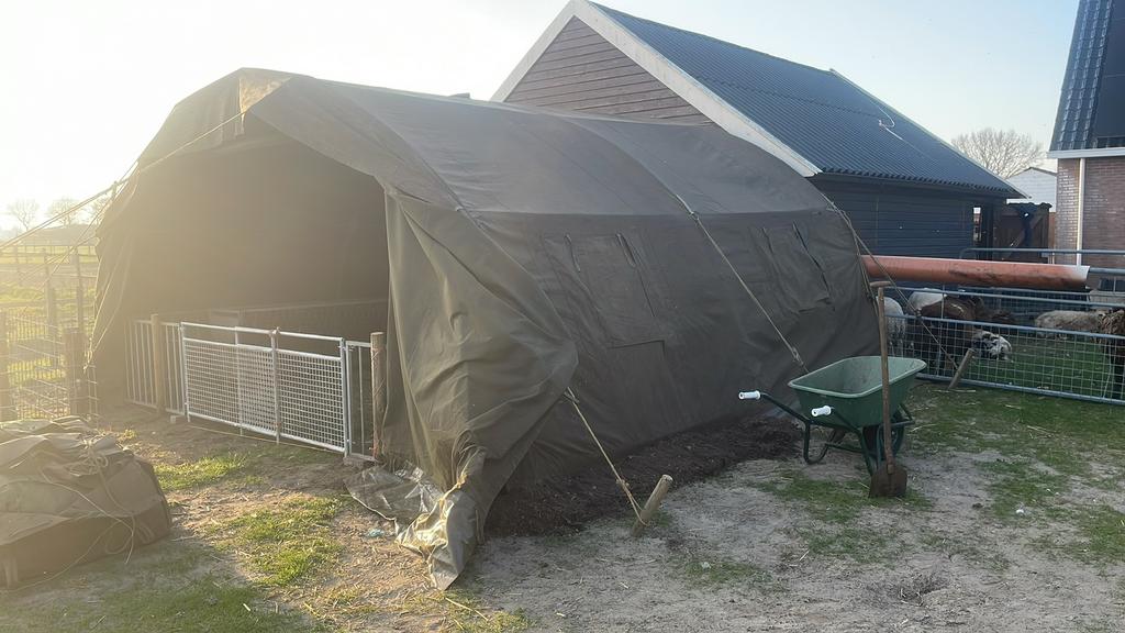 Leger tent, Ophalen, Vee