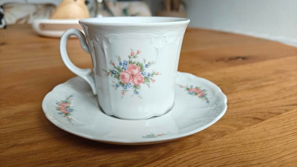 Seltmann Weiden Bavaria kop en schotel Julia, Ophalen of Verzenden, Gebruikt, Porselein, Kop en/of schotel