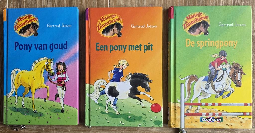 Manege De Zonnehoeve - Gertrud Jetten, Ophalen of Verzenden, Zo goed als nieuw, Gertrud Jetten, Fictie algemeen