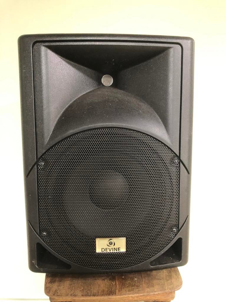 Devine artis 10A speaker., Audio, Tv en Foto, Luidsprekers, Ophalen of Verzenden, Gebruikt, 120 watt of meer, Overige merken