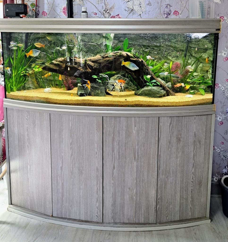Advertentie concept.   Nog mooi aqaurium met onderkast, Dieren en Toebehoren, Vissen | Aquaria en Toebehoren, Ophalen of Verzenden