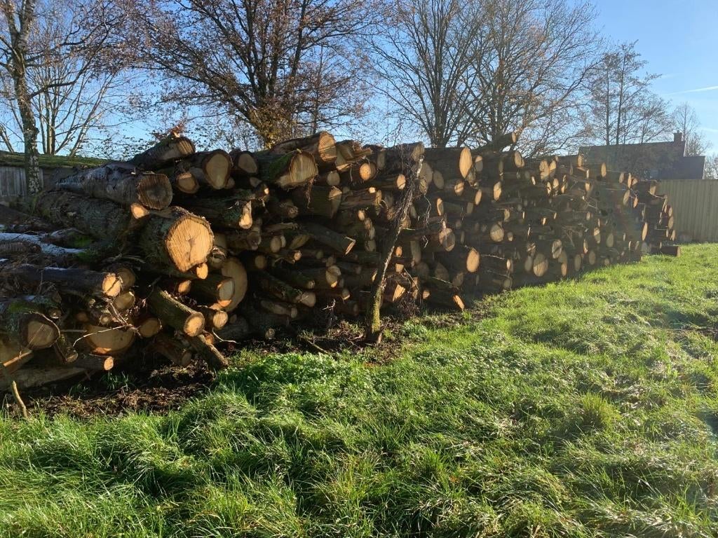 Stamhout Haardhout Eiken, 6 m³ of meer, Ophalen, Eikenhout, Stammen