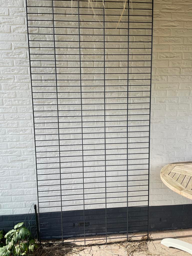 Dubbelstaafmat 6-5-6 ral 7016 grijs 231x100, Tuin en Terras, Tuinhekken en Hekwerk, Ophalen, Gebruikt, IJzer, Dubbelstaafmat hekwerk