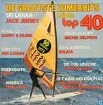 De Grootste Zomerhits Uit De Top 40 (LP ), Ophalen of Verzenden, Gebruikt, 12 inch, Pop