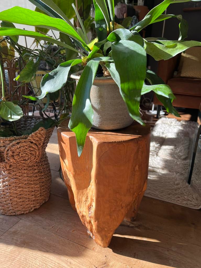 Driepoot Teakhout Boomstam Tamtam Kruk Plantentafel Massief, Ophalen, Gebruikt, Hout