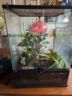 Exo Terra 45 45 60, Dieren en Toebehoren, Ophalen