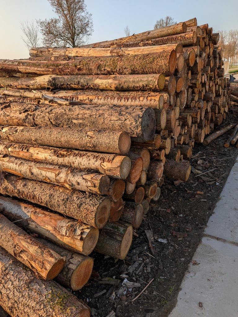 Mooie rechte douglas palen voor diverse toepassingen vanaf€5, Tuin en Terras, Palen, Balken en Planken, Ophalen, 250 cm of meer