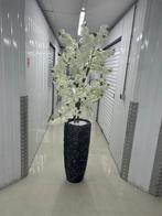 Schelpenvazen met bloesem boom, Ophalen of Verzenden