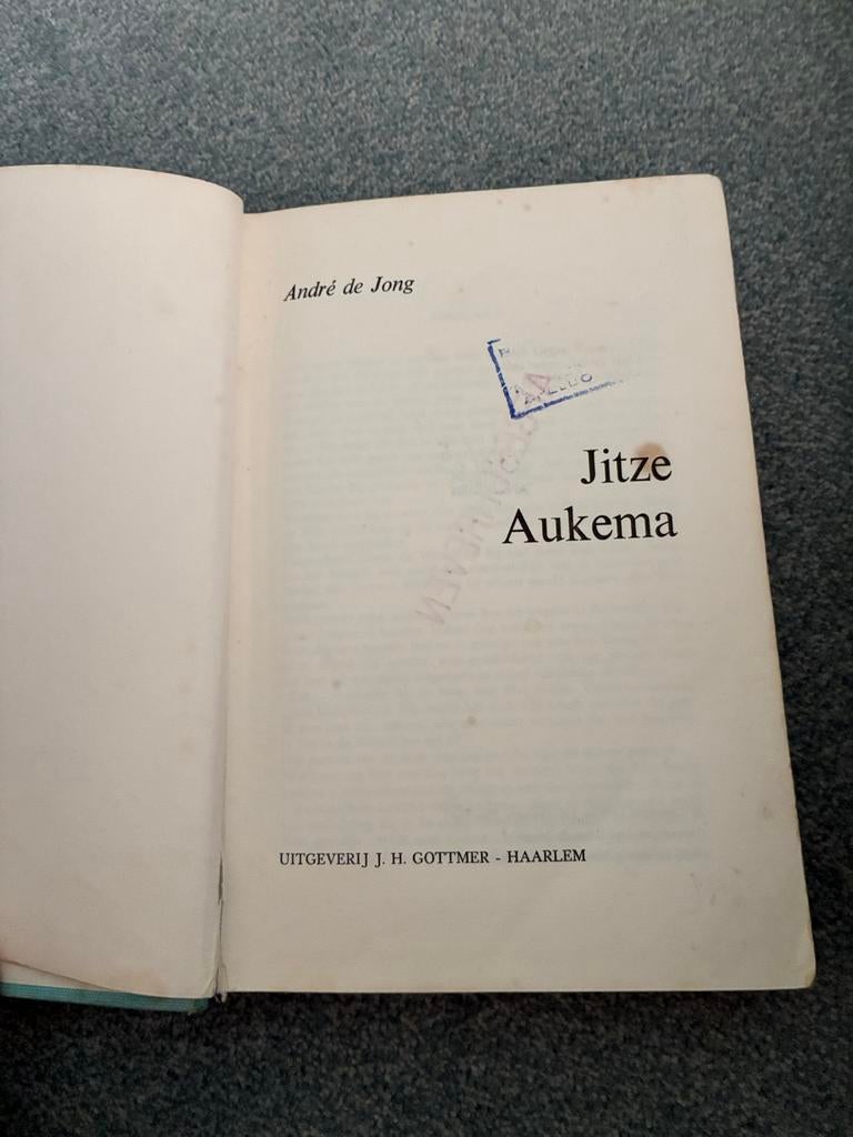 Jitze Aukema - André de Jong (Uitgeverij J.H. Gottmer), Boeken, Ophalen of Verzenden, Gelezen, Nederland