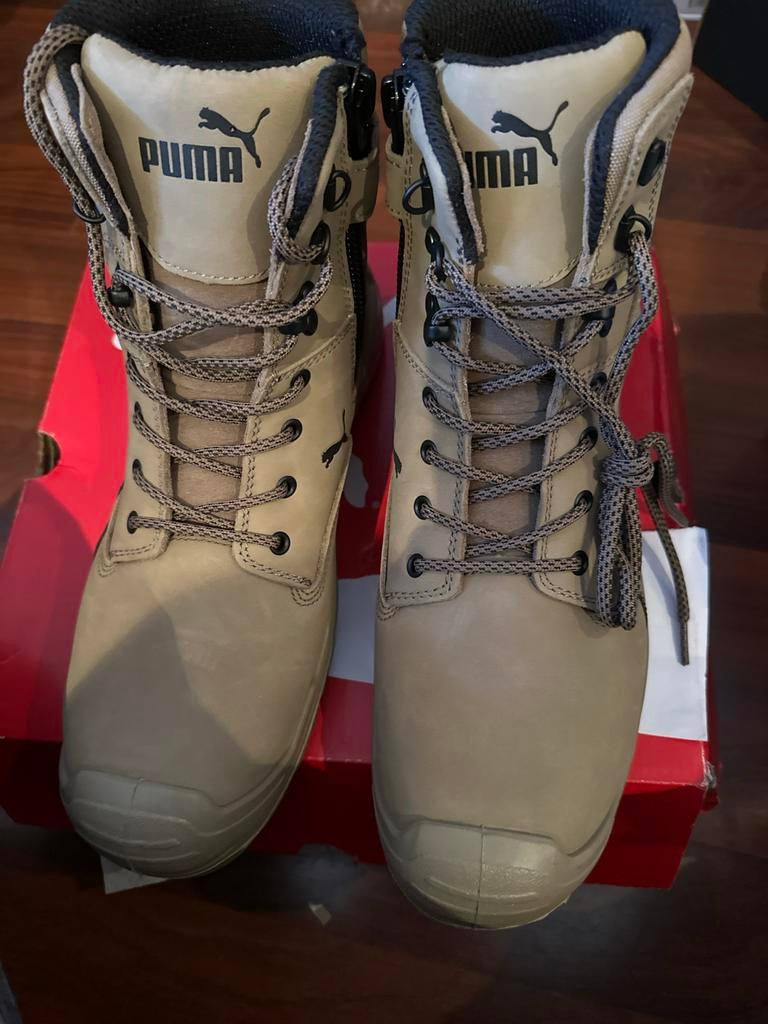 Veiligheidsschoen, Ophalen of Verzenden, Nieuw, Zwart, Shirt