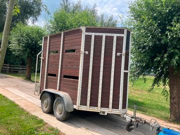 Waco Veewagen schapenwagen (bj 1970) beschikbaar voor biedingen