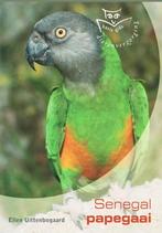 Senegal / bonte boer .gevraagd !!, Dieren en Toebehoren, Meerdere dieren, Papegaai, Tam
