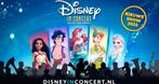 DISNEY IN CONCERT 27-12 OM 15.30 UUR, Tickets en Kaartjes, Twee personen
