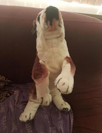 Pluche hond zie foto's bieden gebruikt beschikbaar voor biedingen
