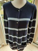 Mooi vest PETER HAHN - 36, Kleding | Dames, Truien en Vesten, Blauw, Ophalen of Verzenden, Zo goed als nieuw, Peter Hahn