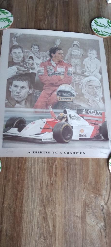 F1 Ayrton Senna A tribute to a Champion print 348/999, Verzamelen, Automerken, Motoren en Formule 1, Zo goed als nieuw, Auto's