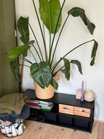 TV Kastje, Huis en Inrichting, Kasten | Dressoirs, Ophalen, Zo goed als nieuw, 25 tot 50 cm, 100 tot 150 cm