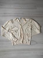 JM vest maat 170-176, Kinderen en Baby's, Kinderkleding | Maat 170, Ophalen of Verzenden, Zo goed als nieuw, Meisje, Trui of Vest